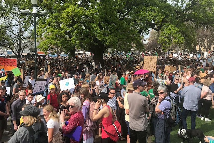 A crowd gathers at Parliament Lawns in Hobart