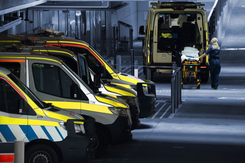 Ramped ambulances at a hospital emergency department.