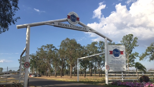 Teys Bros  meat works, Biloela