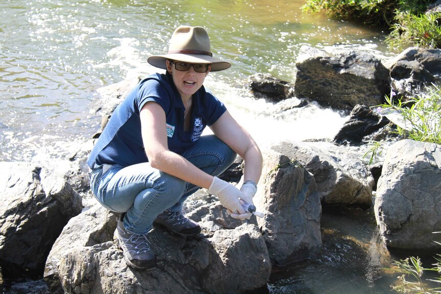 Tamielle Brunt squatting on a rock in the Kedron Brook