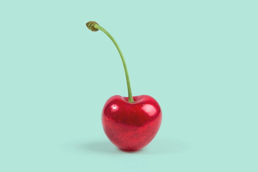 Fruit cherry on teal background for a story about: 'Virginity' harms and excludes many of us. Is it time we got rid of it?