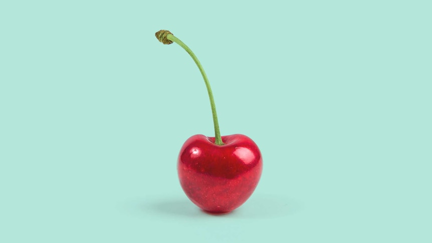 Fruit cherry on teal background for a story about: 'Virginity' harms and excludes many of us. Is it time we got rid of it?