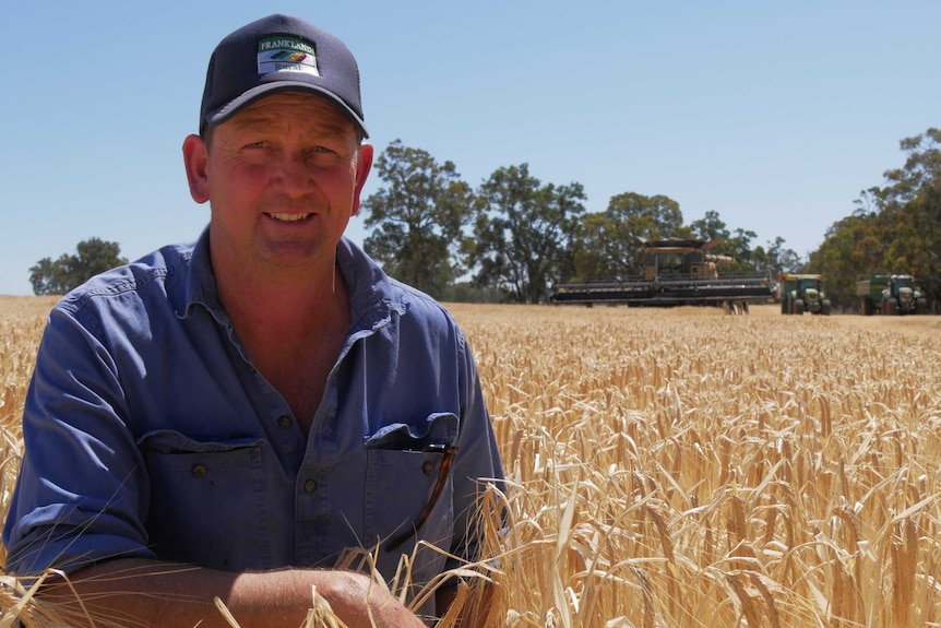 Agronomist Tim Trezise sits in a field of barley in Kojonup