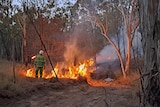 a ranger in high viz green suit lights a fire next to a dirt road