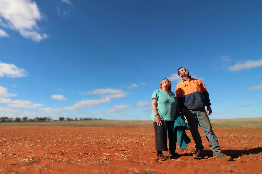 Farmers stand in a dry paddock near Yuna, in Western Australia
