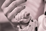 Sepia coloured photo of a small baby's hand holding a mother's finger