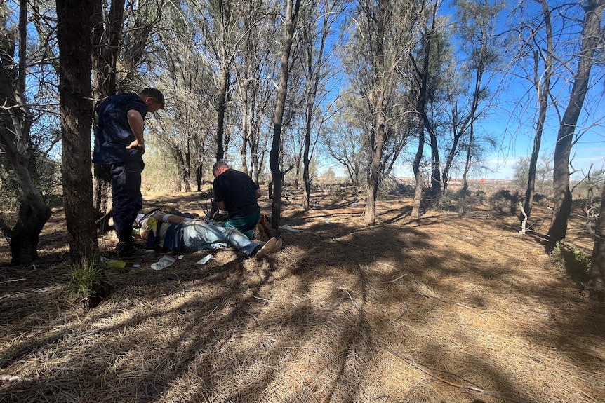 Man lying down in the bush. Two men are standing over him.