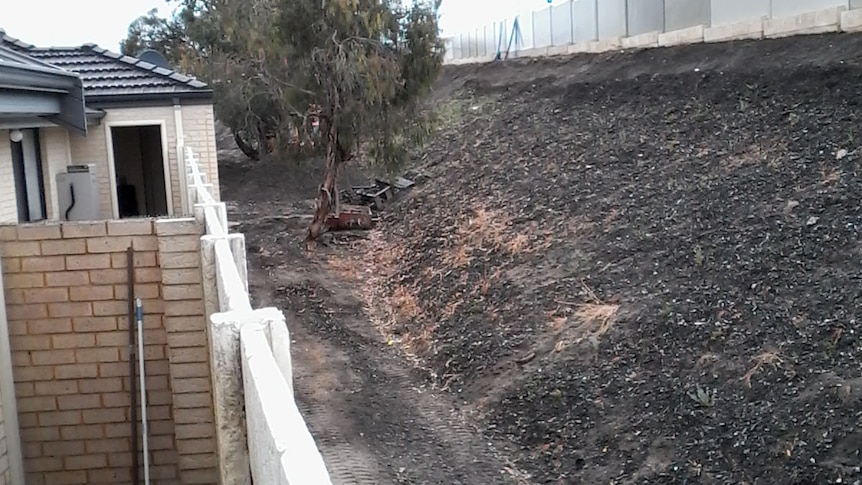 Mulch on a slope outside a house.
