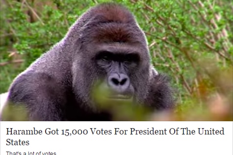 Fake story on Harambe receiving votes