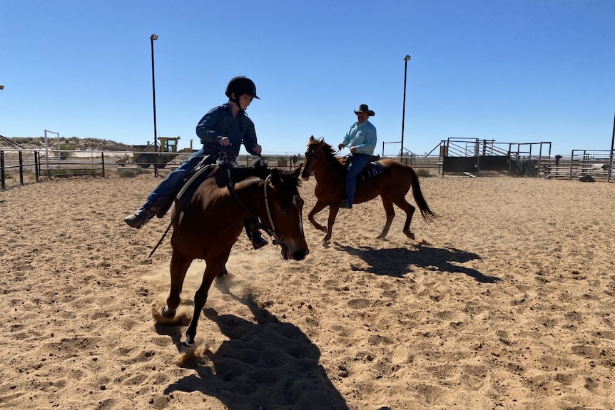 A 10-year-old boy and his dad ride two horses in a paddock. 