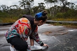 A woman looking at an ancient Aboriginal rock carving.