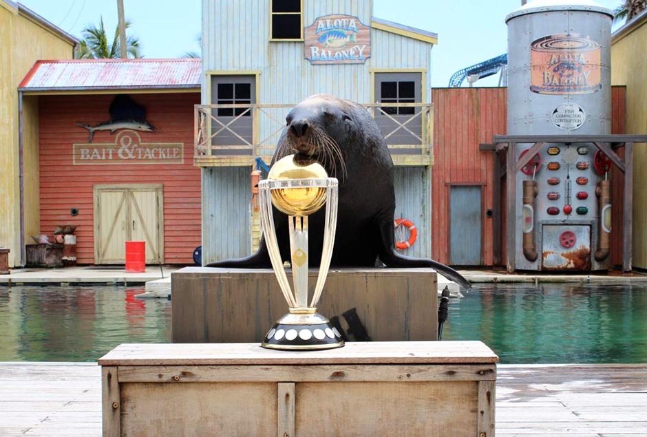 Seal says hello to trophy