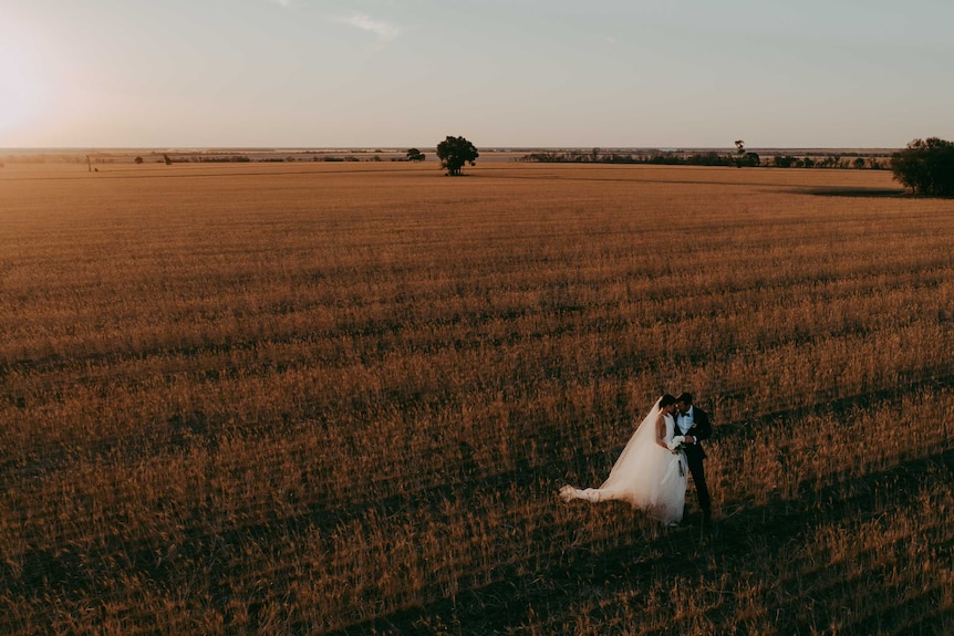 A bride and groom standing in the middle of crops.