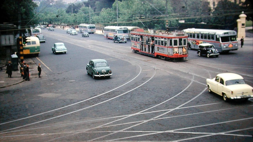 A tram on North Terrace in the 1950s alongside buses.