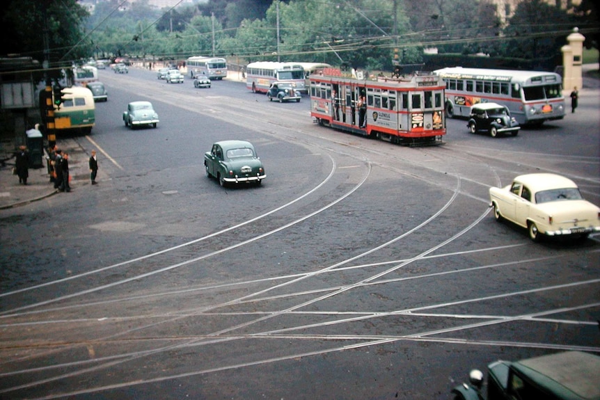 A tram on North Terrace in the 1950s alongside buses.