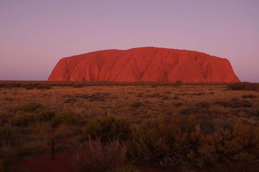A photo of Uluru taken from about 1 kilometre away with a purple sky.