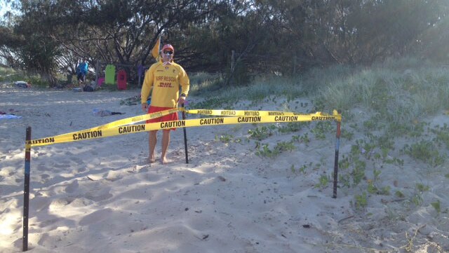 Lifesavers have cordoned off the turtle nesting area at Elliot Heads Beach in Bundaberg.