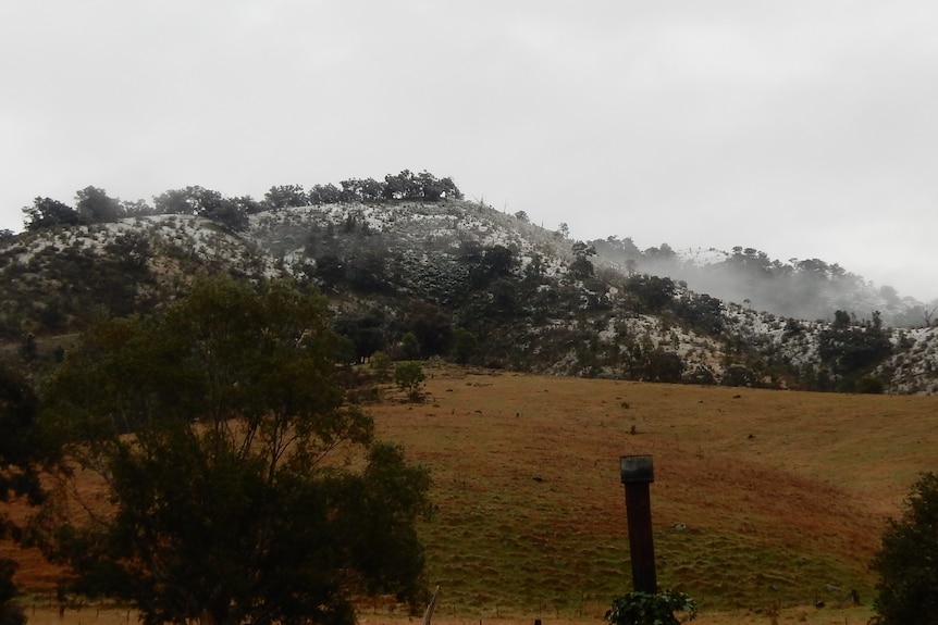 Snow settles on hills in the distance. There is brown paddock in the foreground.