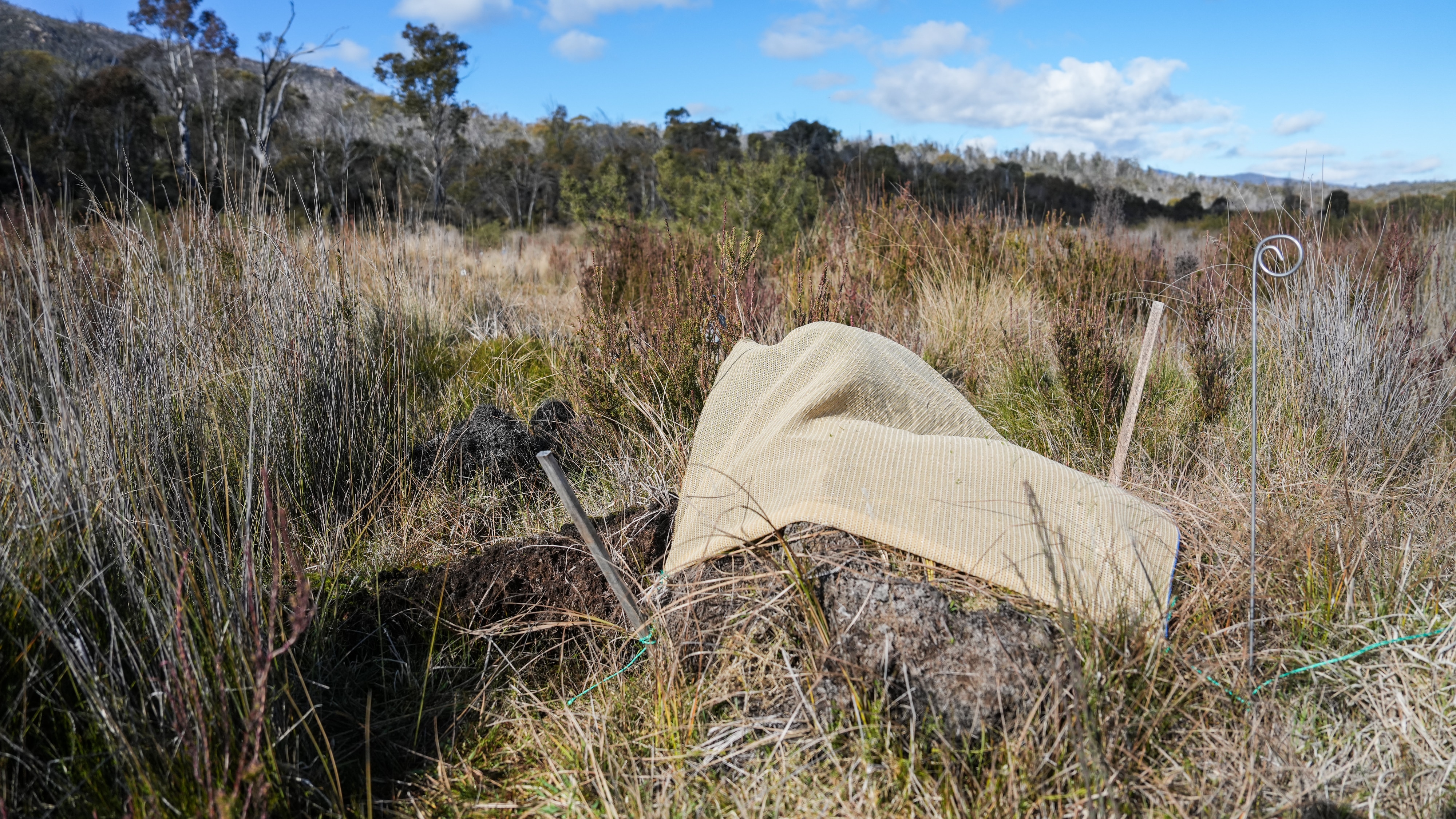 A shade cloth on an alpine landscape.