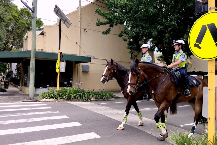 Horses at a zebra crossing.