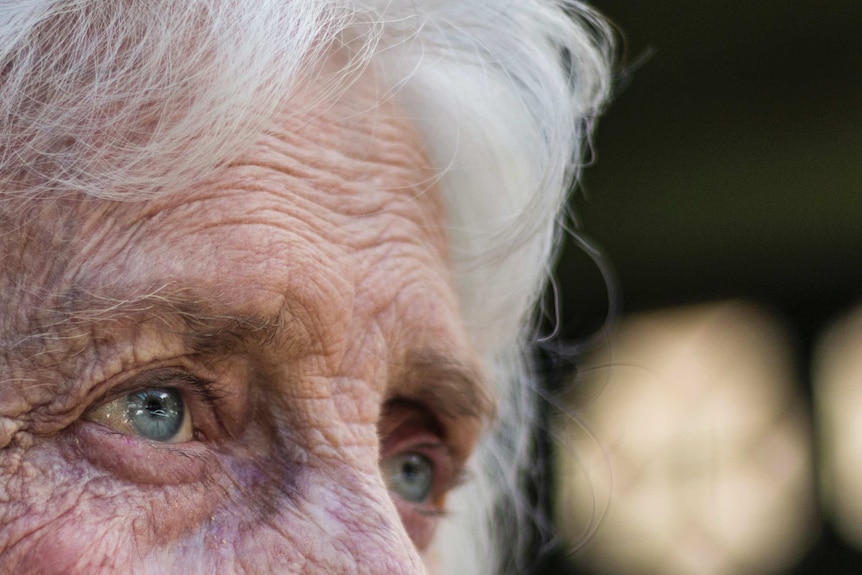 Housing resident Florence Seckold looks out at Millers Point