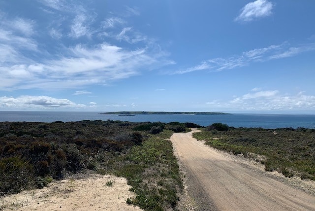 View over coastal scrubland towards ocean.