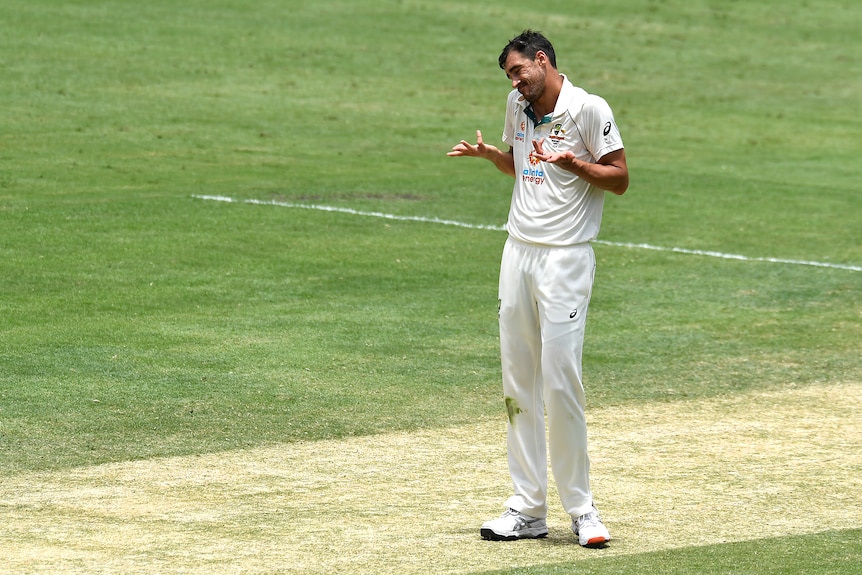 Australia bowler Mitchell Starc shrugs on the pitch during a Test against India.