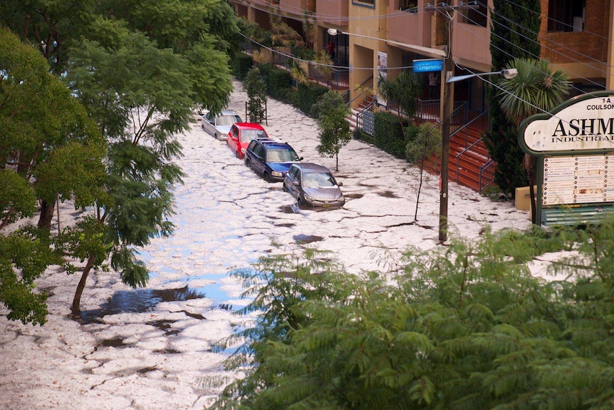 Cars submerged on Coulsen Street in Erskineville, Sydney.