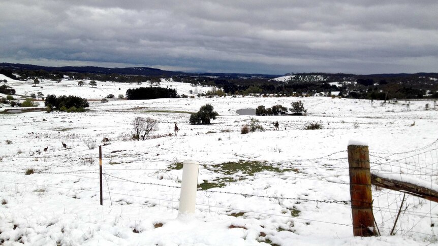 Bungendore blanketed by snow.