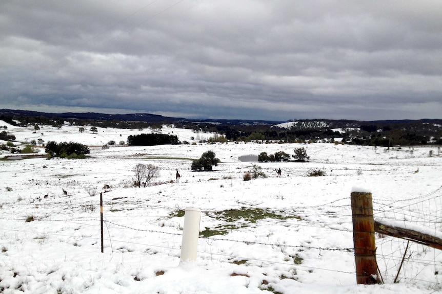 Bungendore blanketed by snow.