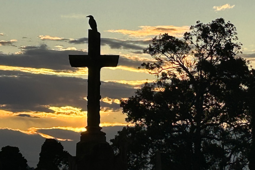 a bird sits on a monument in a cemetery