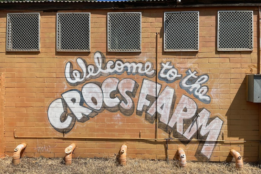 A wall sign on an orange brick wall says: "Welcome to the Crocs Farm"