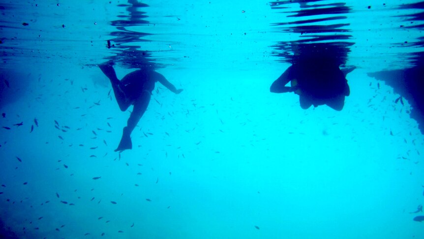 Underwater perspective of a snorkeller.