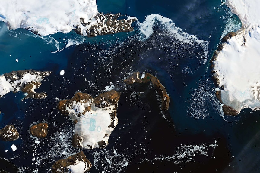 This image from February 13 of Eagle Island, Antarctica shows significant snow melt in the green areas.
