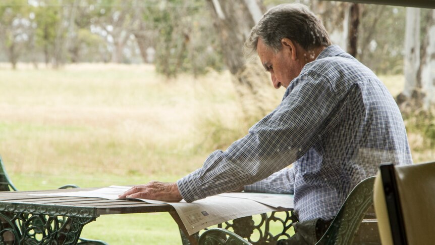 The author reading a newspaper at a bench surrounded by trees.