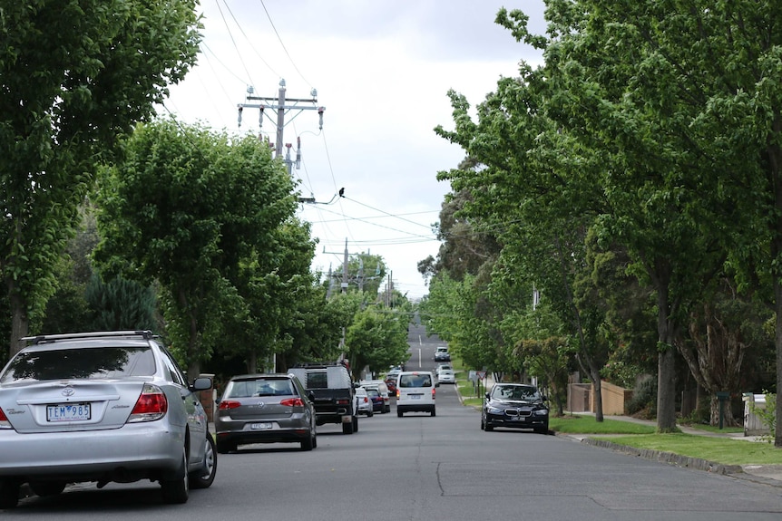 A picture of a van driving on a street lined with big green leafy trees.