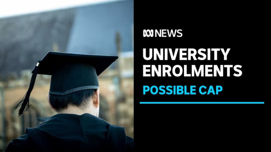 University Enrolments, Possible Cap: A university graduate wearing graduation garb.