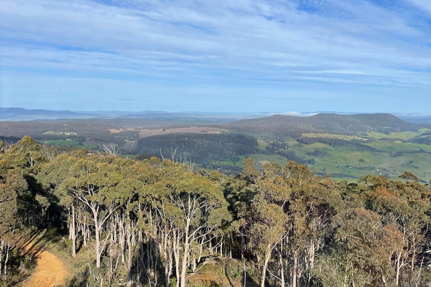 A scenic view from up high of forest and hills