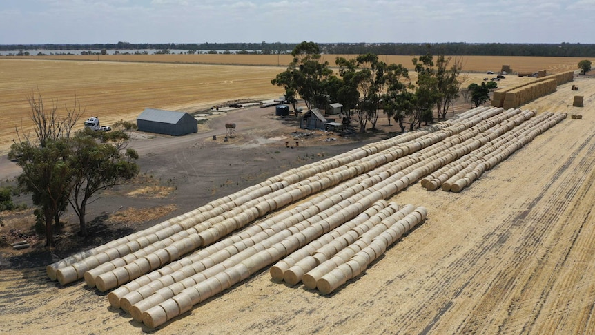 Hay being collected in Horsham to be taken to farmers in New South Wales.