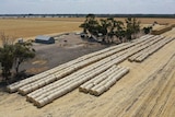 Hay being collected in Horsham to be taken to farmers in New South Wales.