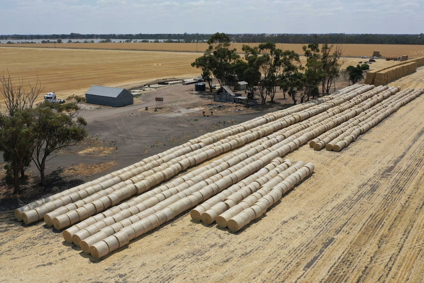 Hay being collected in Horsham to be taken to farmers in New South Wales.