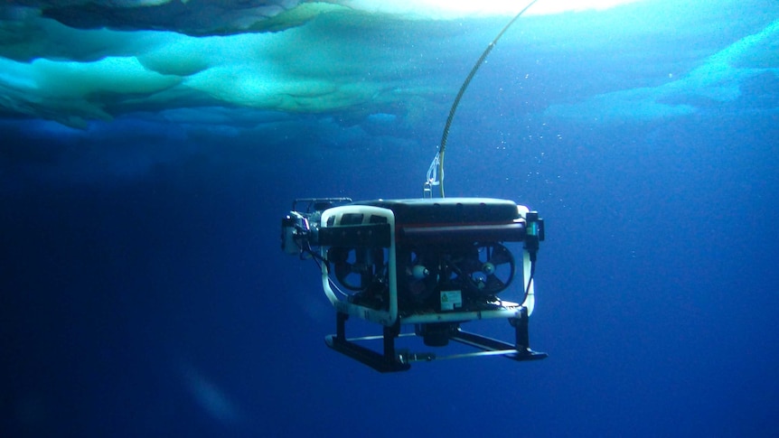 Remote-operated underwater vehicle under ice in Antarctica.