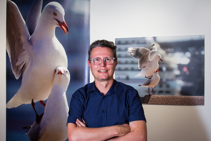 Andre Braun posing in front of some of his photographs featuring seagulls.