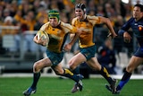 Familiar role: Matt Giteau shifts to fly half, where he has played 39 of his 82 Test matches.