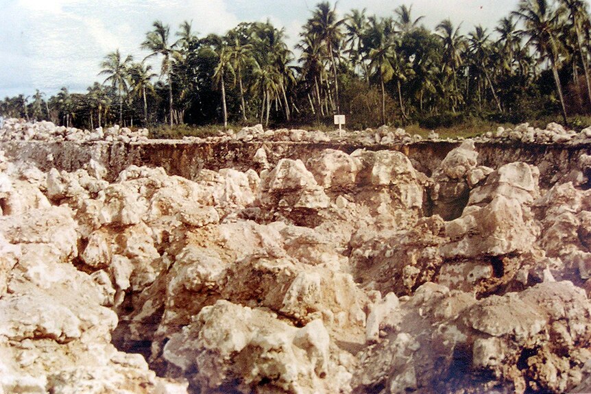 Archival photograph of te Aka, in Fiji, from 1998, showing a rock-lined road and palm trees.