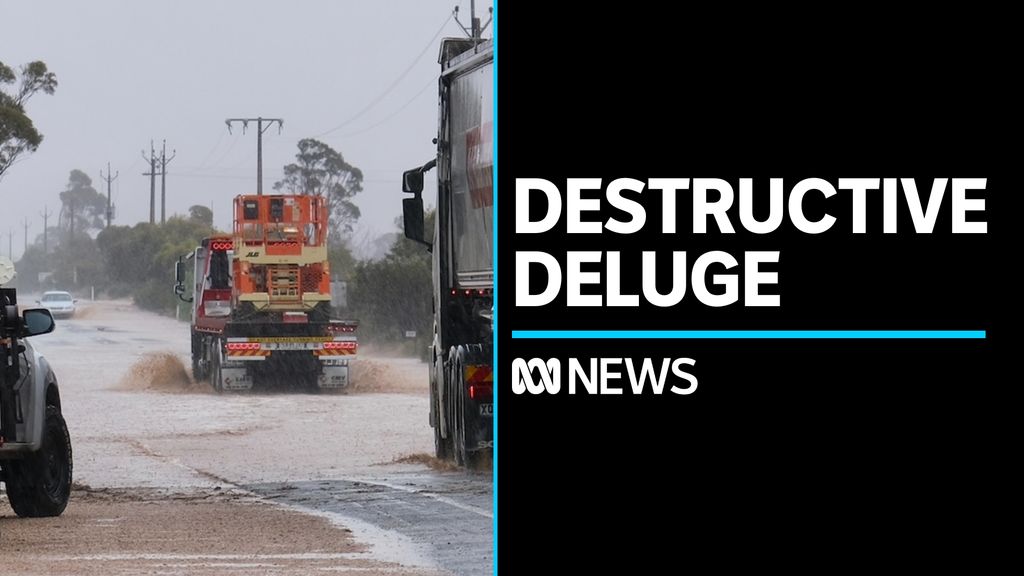 Clean-up begins after storms drench farmland in SA - ABC News