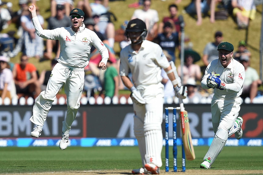 Australia's Steve Smith (L) and Peter Nevill react after wicket of New Zealand's Kane Williamson.