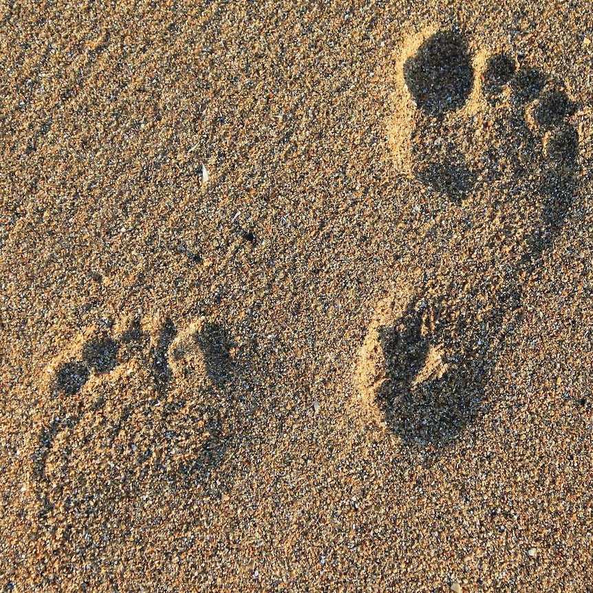 Two bare footprints in course sand, one is much more pronounced than the other