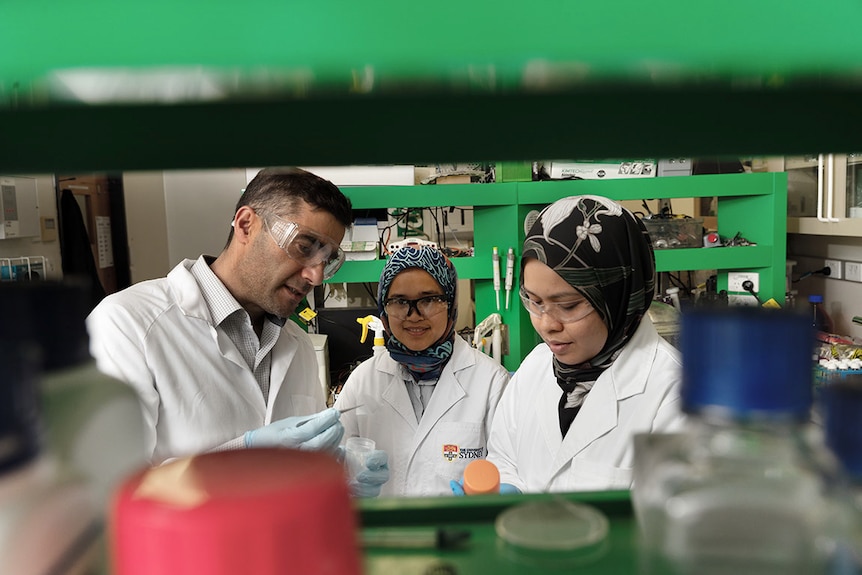 Ali, Amira and another researcher all wearing white coats behind a shelf in a laboratory.,