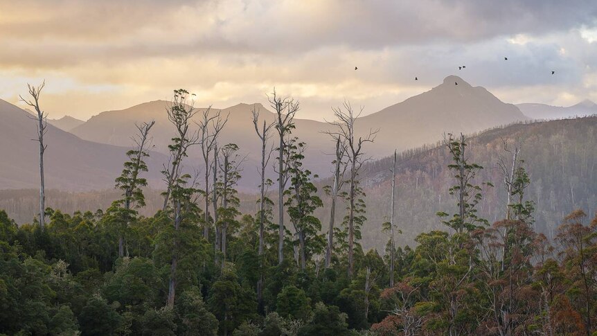 One of Matt Palmer's photos which won him 2019 APPA Professional Photographer of the Year.